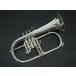 Brasspire BPFG-850SS