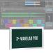 Steinberg WaveLab Pro 12 обычная версия (WaveLab/R)