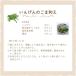 �n���� ��E���e�� 500g 2�� �ۑ��� ���F�� ���Y�� �s�g�p ������ ��E�� ���� �e�� ���Ƃ����� ���� ���� ���� ���R�H�i �T�g�E�L�r ������ ���Y ������ ���� �֘A�摜5