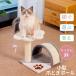  кошка башня для кошки tower коготь .. игрушка тоннель имеется . кошка . кошка .. класть type компактный крепкий кошка tree движение нехватка аннулирование развлечение место Mini башня для кошки 