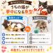 �L �������� �� �G�� �l�R �O�b�Y �L�̂������� �L�b�J�[ �L�b�N ���� �l�` ������ �ʂ������ �X�g���X �C���X�^�f�� �֘A�摜3