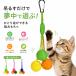  кошка игрушка лен шнур мяч 3 -цветный набор kalabina имеется лен шнурок кошка игрушка кошка .... кошка товары кошка для игрушка мяч кошка сопутствующие товары движение шнурок .. развлечение кошка игрушка 