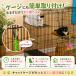 �L �������� ���R�{�[��3�F�Z�b�g �J���r�i�t�� ���Ђ� �L�������� �L����炵 �L�O�b�Y �L�p�������� �{�[�� �L�p�i �^�� �Ђ� �˂� �V�� �l�R�������� �֘A�摜2