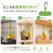 �L �������� ���R�{�[��3�F�Z�b�g �J���r�i�t�� ���Ђ� �L�������� �L����炵 �L�O�b�Y �L�p�������� �{�[�� �L�p�i �^�� �Ђ� �˂� �V�� �l�R�������� �֘A�摜3