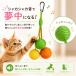 �L �������� ���R�{�[��3�F�Z�b�g �J���r�i�t�� ���Ђ� �L�������� �L����炵 �L�O�b�Y �L�p�������� �{�[�� �L�p�i �^�� �Ђ� �˂� �V�� �l�R�������� �֘A�摜4