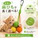 �L �������� ���R�{�[��3�F�Z�b�g �J���r�i�t�� ���Ђ� �L�������� �L����炵 �L�O�b�Y �L�p�������� �{�[�� �L�p�i �^�� �Ђ� �˂� �V�� �l�R�������� �֘A�摜5