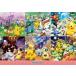 en Sky (ENSKY) Pocket Monster Pokemon 365 Days 51×73.5cm составная картинка 1000 деталь JIGSAW PUZZ