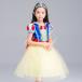 ディズニー クリスマス コスプレ ドレス 白雪姫 スノーホワイト 風 プリンセスドレス 子供 ドレス 衣装 USJ C-2858S1800