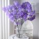 siawadeky lilac искусственный цветок шелк цветок 2 шт. комплект много колесо длина ветка подлинный товар целиком lilac букет .. нет цветок человеческий труд декоративное растение цветок a Len 