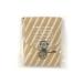 CODDLE+PAPER05 STRIPE BROWN( полоса Brown )