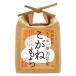  gift present health gift rice . peace . year production mochi glutinous rice 1kg special cultivation Niigata prefecture production ... mochi . mochi 