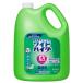 �ԉ� ���C�h�n�C�^�[ EX�p���[ 4.5L