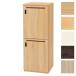 ( дом частного лица +3300 иен ) [ оплата при получении не возможно ][ производство на заказ товар ] tuck personal запирающийся шкафчик 2 человек для с ключом W450×D450×H1200mm RGP4545