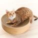  кошка коготь .. картон канава канава тарелка свет натуральный дерево eimklieitsuMJU