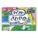 饤ե꡼ 䤫ѥå  80cc ¿ 45 23cmǢ줬ˤʤ