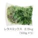 [ упаковка 100 размер *2.5kg] для бизнеса lettuce Mix ( культивирование час нет пестициды ), оборка * Sunny 