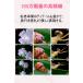������ �q�� �n���f�B ���w�� �q���p �[�d�� �f�W�^�������� 500�{ LED���C�g �N���X�}�X �v���[���g �P�ዾ �ċx�� �h�� ���w�� ���w�� ���� ���� �ώ@�L�b�g �֘A�摜3