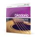 D'Addario ꥪ ƥå եե֥ High-Strung/Nashville Tuning .010-.0