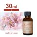  domestic production aroma oil Sakura 30ml [ aroma candle for sachet for candle raw materials Lead diffuser for ] [ Sunday holiday delivery business holiday ]