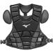  ученик начальной школы для софтбола протектор Mizuno 1DJPY22009