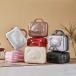  новый продукт Mini багажник кейс Carry кейс чемодан дорожная сумка твердый Carry on машина внутри принесенный маленький размер большая вместимость ручная сумка путешествие для портфель кейс для хранения 