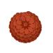  Loewe LOEWE stud цветок очарование 0010445781 orange 