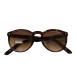  желтый z плюс YELLOWS PLUS SAMMY C432 Boston солнцезащитные очки Brown размер :50*21