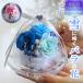 �G���W�F�� �K���X�h�[�� �v���U�[�u�h�t�����[ �~ �V�g ������ �n�[�g �X�����t�X�L�[ �a���� ���� �Ԍ��t �o�� ���[�Y �p�[�� ���{�� �X�m�[