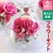 ������ �v���U�[�u�h�t�����[ �G���W�F�� �K���X�h�[��  �V�g ���[�Y �K�N �X�����t�X�L�[ �a���� �a�����v���[���g ������M�t�g ��̓�