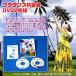  hula dance novice compilation DVD2 sheets set K8638