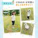 �q���p �t���t�[�v �g�ݗ��Ď� �j�̎q ���̎q �����ł��� �V�� �ߋ� �������� �^�� �̑� ���������� �����݃J���[ �T�C�Y���� �L�b�Y�t�[�v �|�C���g���� �֘A�摜4