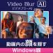 AVCLabs Video Blur AI(e-bisi-labo видео bla-e- I ) | Windows версия 