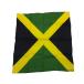 REGGAEmi Nicross / JAMAICA национальный флаг 