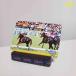 *Gallop elected goods *oru Feve ru Rhododendron indicum . horse racing QUO card QUO card 500