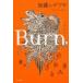 Burn.- балка n