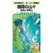  гора . высота . карта Fukuoka. гора .(2026 год версия ) -. полный гора * Британия . гора 