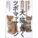  decision version dog * cat . be effective tsubo* massage - shiatsu . traditional Chinese medicine . instantly origin Be careful 