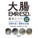  большой .EMR*ESD. основы .kotsu- Expert если ... терапия рука .* стратегия ...WEB