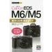  сейчас сразу можно использовать простой mini Canon EOS M6|M5 основы & отвечающий для фотосъемка гид 