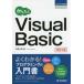  программирование. учебник простой Visual Basic ( модифицировано .2 версия )