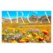 ShoPro Books ARCA- это звезда. история 
