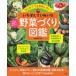 впервые . тоже недостаточность не делать!......... овощи ... иллюстрированная книга 