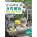  зизифус фирменный Garden Books хорошо понимать суккулентное растение выбор person *.. person * веселье person 