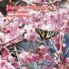 Insects of Nagano- Yoshimura . 2 насекомое фотоальбом 