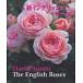  новый крыло lishu rose 