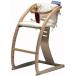 e-chair( специальный подушка имеется )