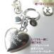 .. брелок для ключа .. Capsule аксессуары Heart memorial домашнее животное кошка собака Heart симпатичный нержавеющая сталь .. Rocket под рукой .... повседневный водонепроницаемый радуга. .