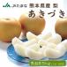 [ предварительный заказ товар ] Kumamoto префектура производство груша ....5kg(14~16 шар ввод ) мир груша .... груша JA прямая поставка 