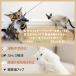 �L �������� �L����炵 ���� �V�R�H �������� ��t�����C���[ ���S�f�� �H�� ���C���[�^ �L������ �� �^���s������ �l�R�|�X�������� �|�C���g10�{ ���� �֘A�摜1
