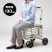  small of the back .. attaching Cart ( silver car stylish seat .. light weight compact folding silver car to seniours shopping Cart ) immediate payment 